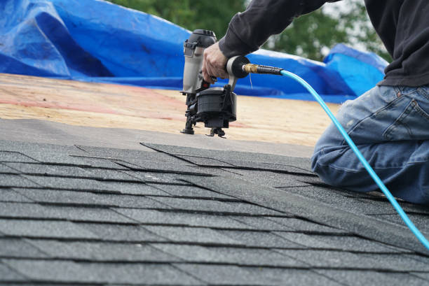 Best Roof Gutter Cleaning  in Hackberry, TX