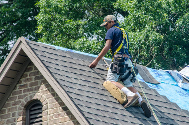 Gutter Installation and Roofing in Hackberry, TX